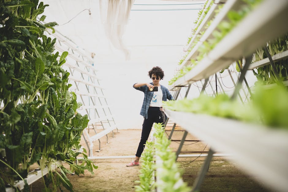 The Rise of Vertical Farming Giants: Why Indoor Agriculture Companies Are Dominating Food Markets