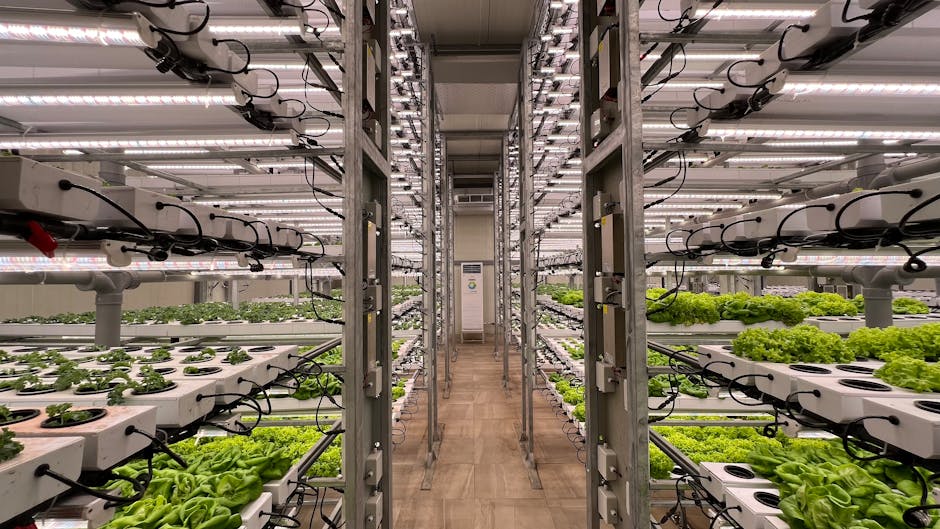 The Rise of Vertical Farming Giants: Why Indoor Agriculture Companies Are Dominating Food Markets