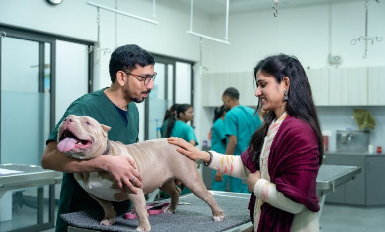 Veterinarian examining a dog in a modern clinic examination room